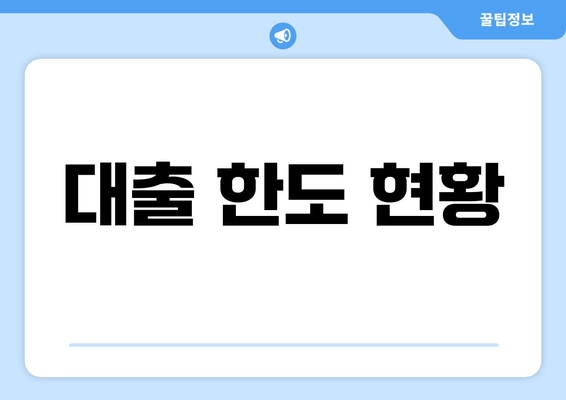 대출 한도 현황