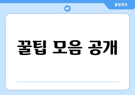 꿀팁 모음 공개