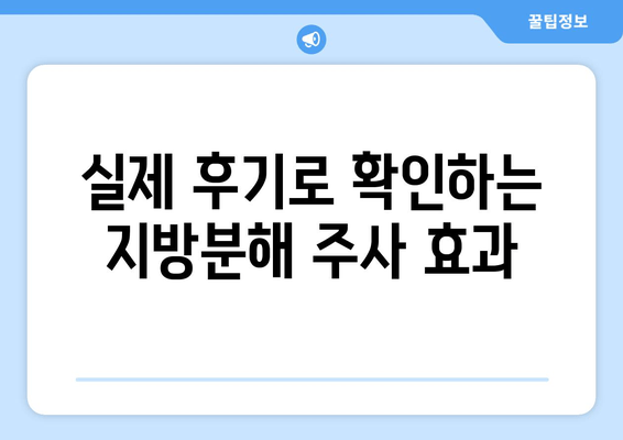 날씬 허벅지, 지방분해 주사로 단숨에! 효과적인 시술 정보 | 허벅지 지방, 비만, 미용, 시술 후기, 가격 비교