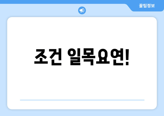 조건 일목요연!