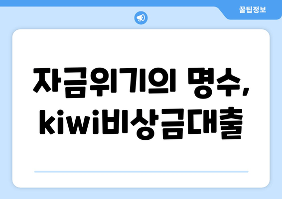 자금위기의 명수, kiwi비상금대출