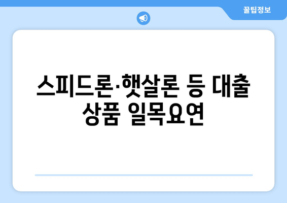 스피드론·햇살론 등 대출 상품 일목요연