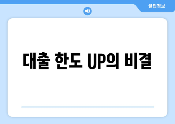 대출 한도 UP의 비결