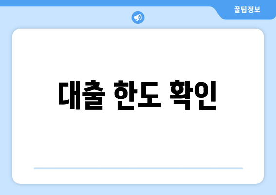 대출 한도 확인