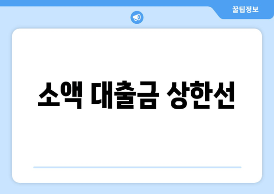 소액 대출금 상한선