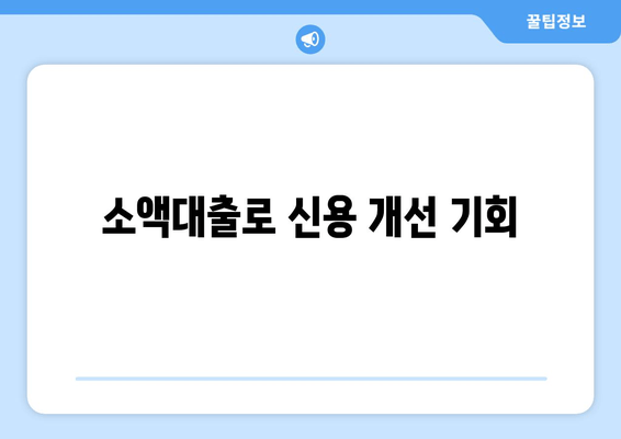 소액대출로 신용 개선 기회