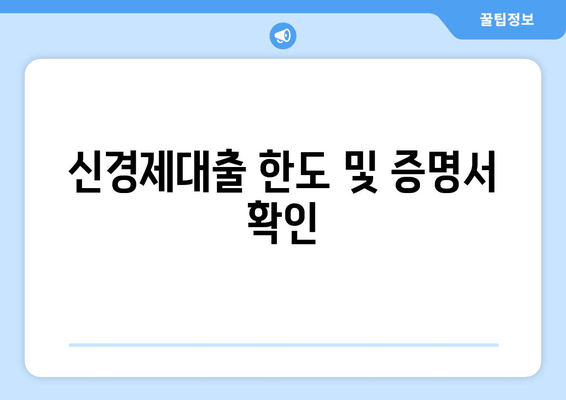 신경제대출 한도 및 증명서 확인