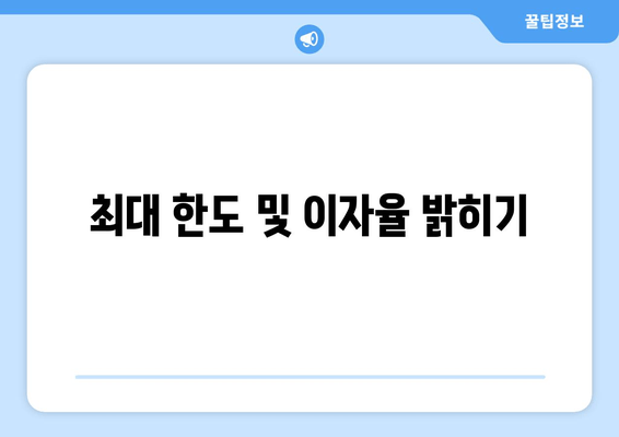 최대 한도 및 이자율 밝히기