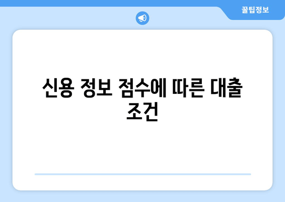 신용 정보 점수에 따른 대출 조건