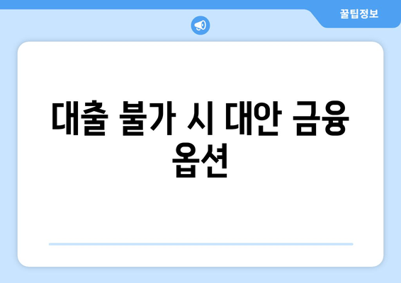 대출 불가 시 대안 금융 옵션