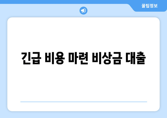 긴급 비용 마련 비상금 대출