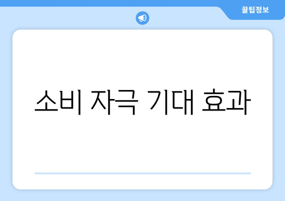 소비 자극 기대 효과