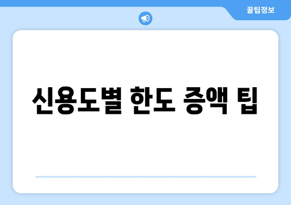 신용도별 한도 증액 팁