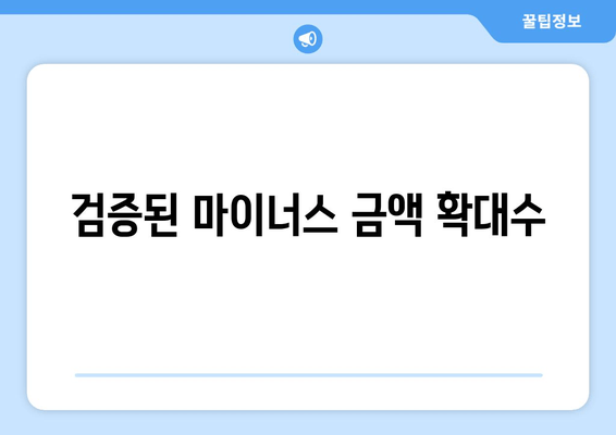 검증된 마이너스 금액 확대수