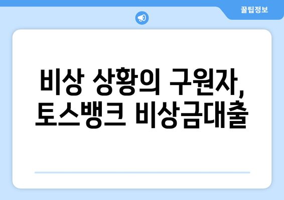 비상 상황의 구원자, 토스뱅크 비상금대출