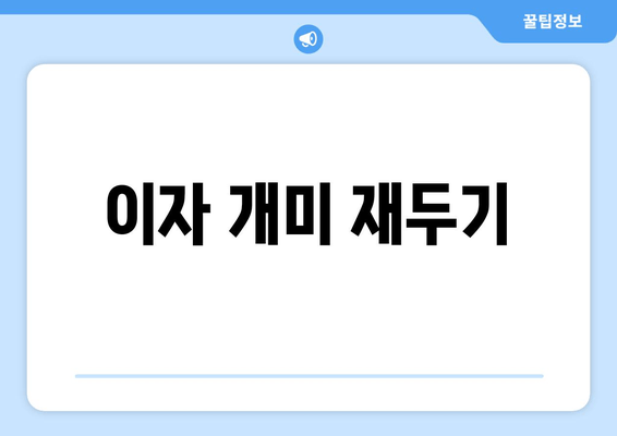 이자 개미 재두기