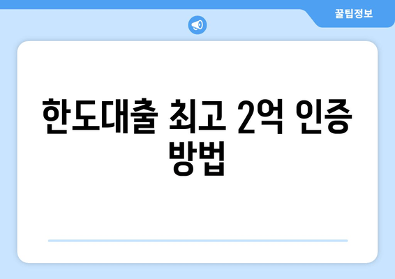 한도대출 최고 2억 인증 방법