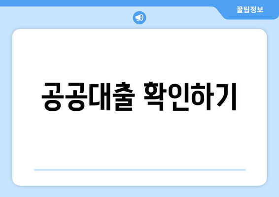 공공대출 확인하기