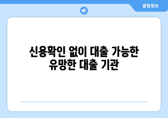 신용확인 없이 대출 가능한 유망한 대출 기관