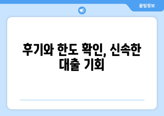 후기와 한도 확인, 신속한 대출 기회