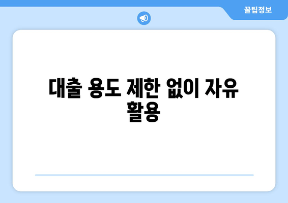 대출 용도 제한 없이 자유 활용