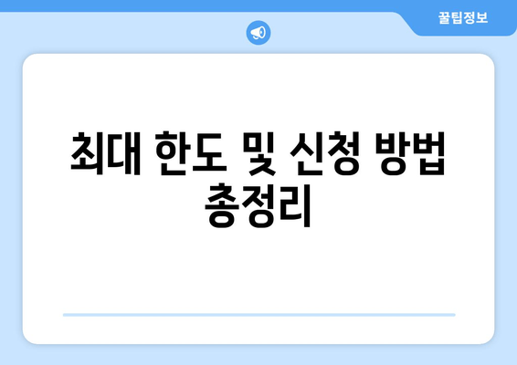 최대 한도 및 신청 방법 총정리