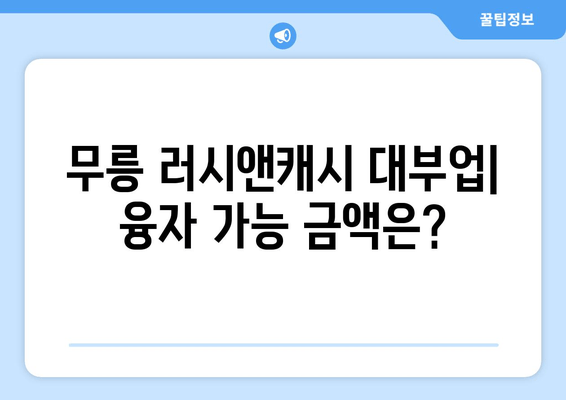 무릉 러시앤캐시 대부업| 융자 가능 금액은?