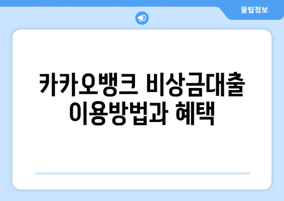 카카오뱅크 비상금대출 이용방법과 혜택