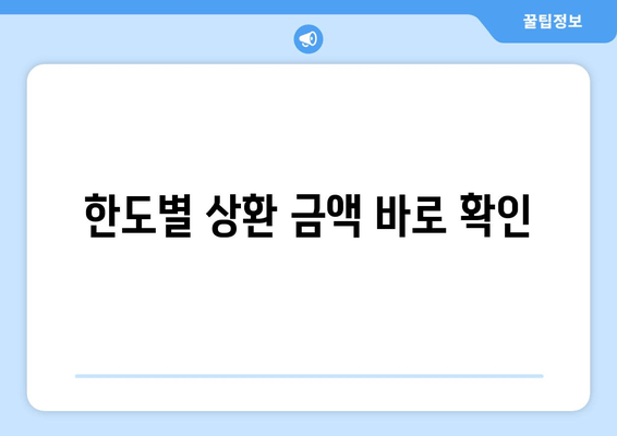 한도별 상환 금액 바로 확인