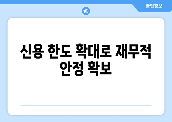 신용 한도 확대로 재무적 안정 확보