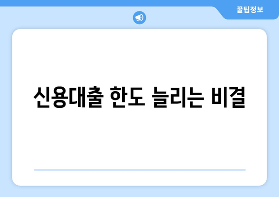 신용대출 한도 늘리는 비결