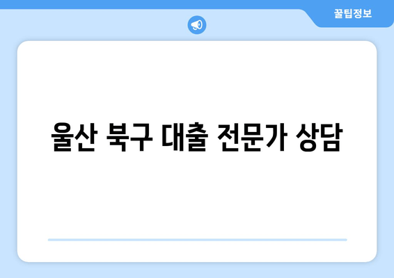 울산 북구 대출 전문가 상담