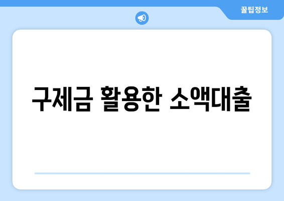 구제금 활용한 소액대출