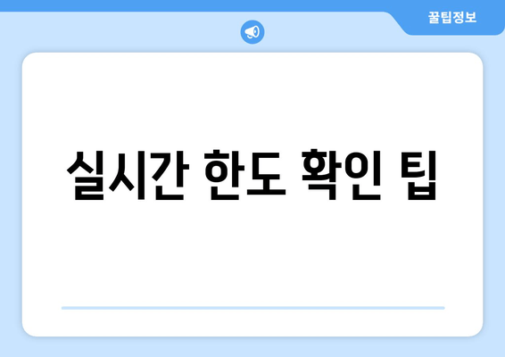 실시간 한도 확인 팁