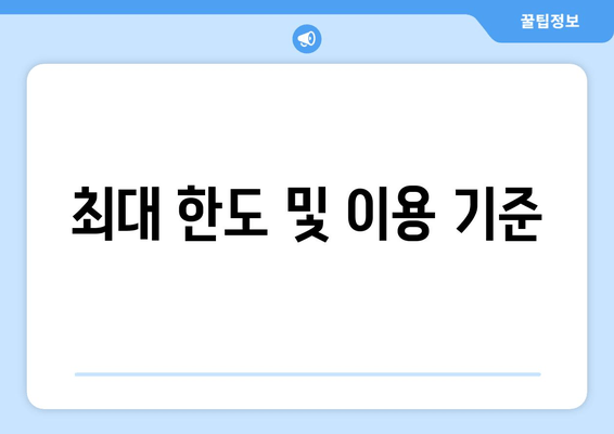 최대 한도 및 이용 기준