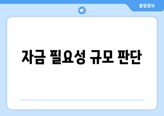 자금 필요성 규모 판단