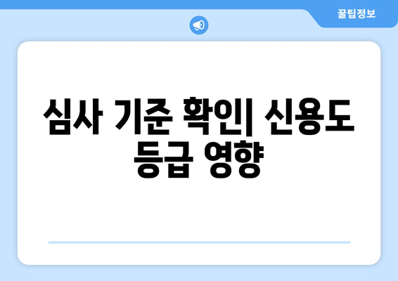 심사 기준 확인| 신용도 등급 영향