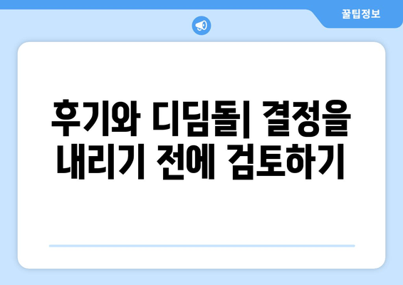 후기와 디딤돌| 결정을 내리기 전에 검토하기