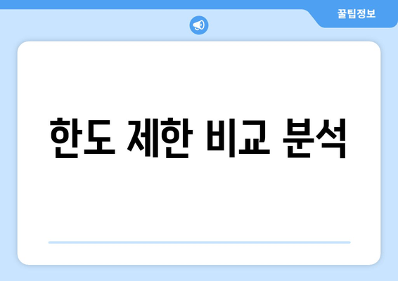 한도 제한 비교 분석