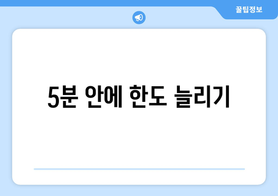 5분 안에 한도 늘리기