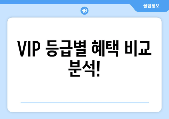 VIP 등급별 혜택 비교 분석!