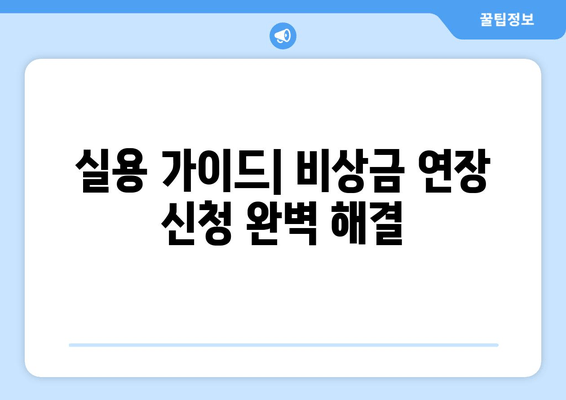 실용 가이드| 비상금 연장 신청 완벽 해결