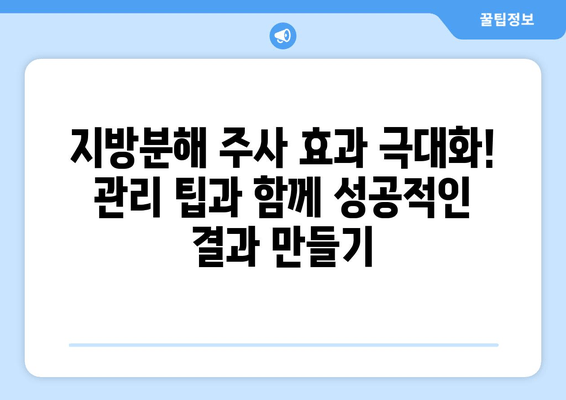 허벅지 지방분해 주사, 가격과 효과 후기| 실제 경험담 & 비용 비교 | 허벅지, 지방분해, 주사, 가격, 효과, 후기, 비용, 경험