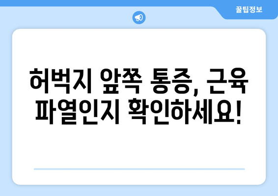 허벅지 앞쪽 통증, 근육 파열 의심? 찢어짐 증상 빠르게 회복하는 방법 | 허벅지 통증, 근육 파열, 회복 운동, 재활