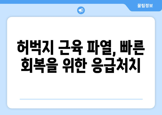 허벅지 앞쪽 통증, 근육 파열 의심? 찢어짐 증상 빠르게 회복하는 방법 | 허벅지 통증, 근육 파열, 회복 운동, 재활