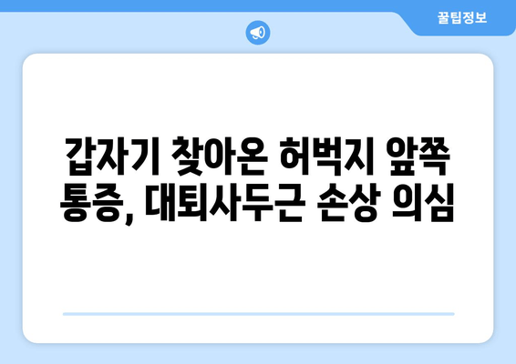 허벅지 앞쪽 통증, 갑자기 발생했을 때? 대퇴사두근 손상 의심 | 원인, 증상, 치료, 예방