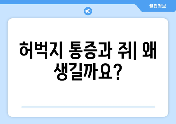 허벅지 통증과 쥐| 원인과 해결책 찾기 | 운동, 스트레칭, 관리 팁