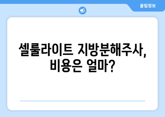 지방흡입 없이 3cm 둘레 감소! 셀룰라이트 지방분해주사 후기 | 솔직후기, 효과, 비용, 주의사항