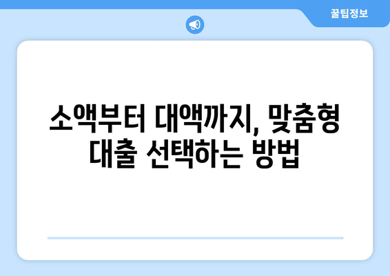 소액부터 대액까지, 맞춤형 대출 선택하는 방법