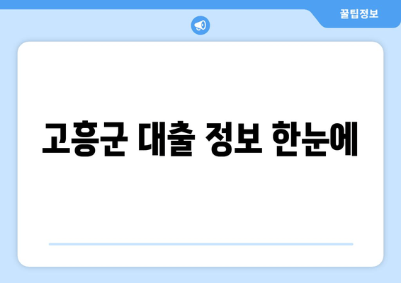 고흥군 대출 정보 한눈에